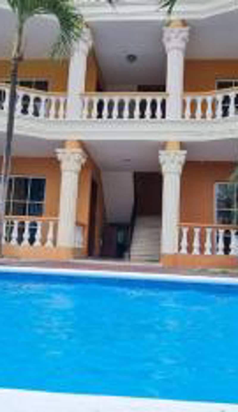 Rose In Paradise