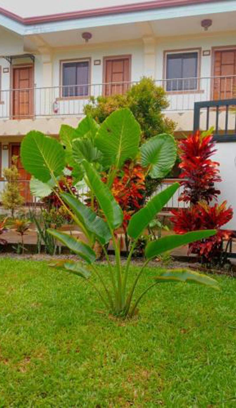 golden anchor lodge