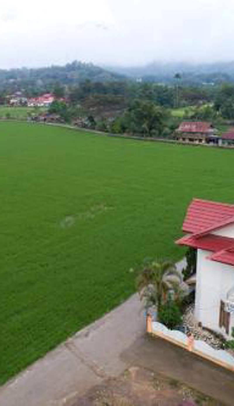 Rosalina Homestay