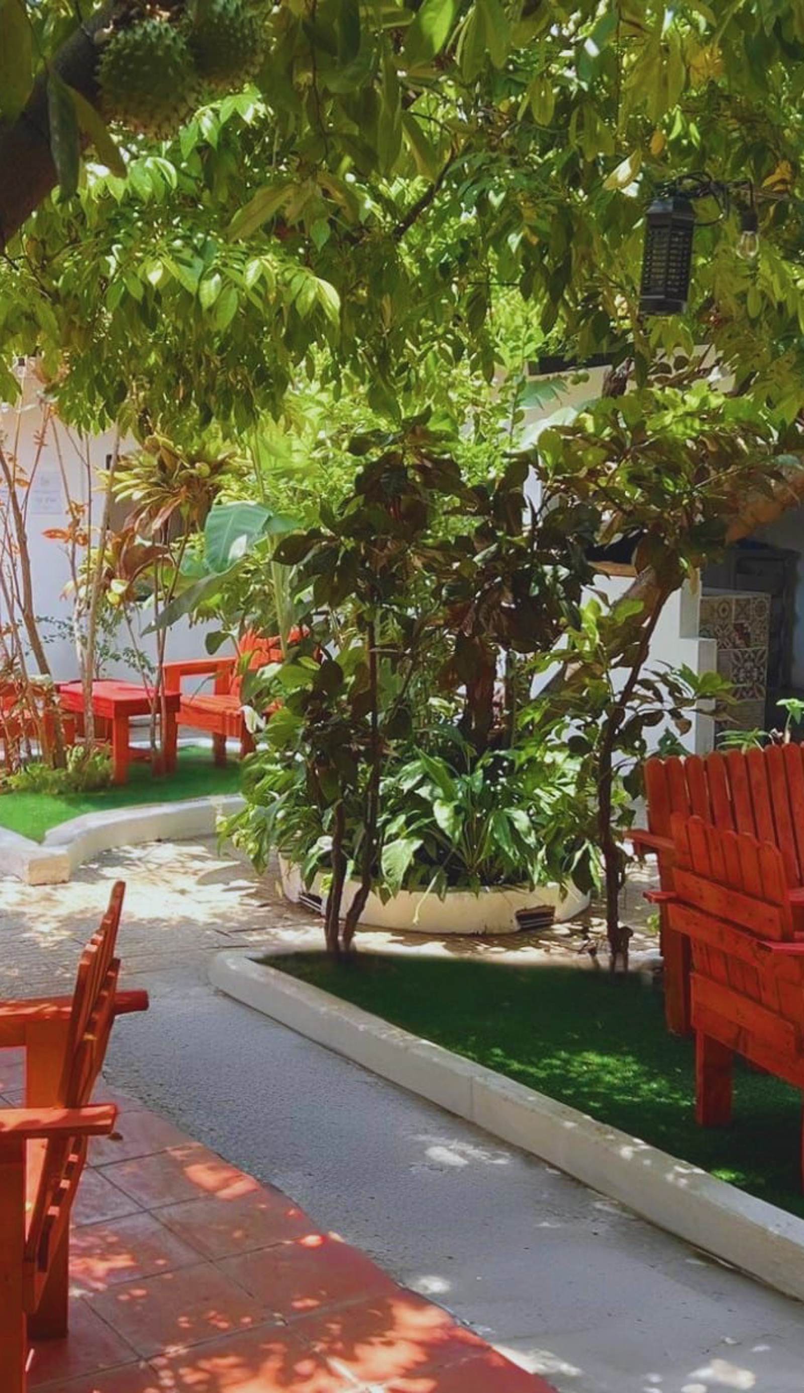 Urban Nest Hostel