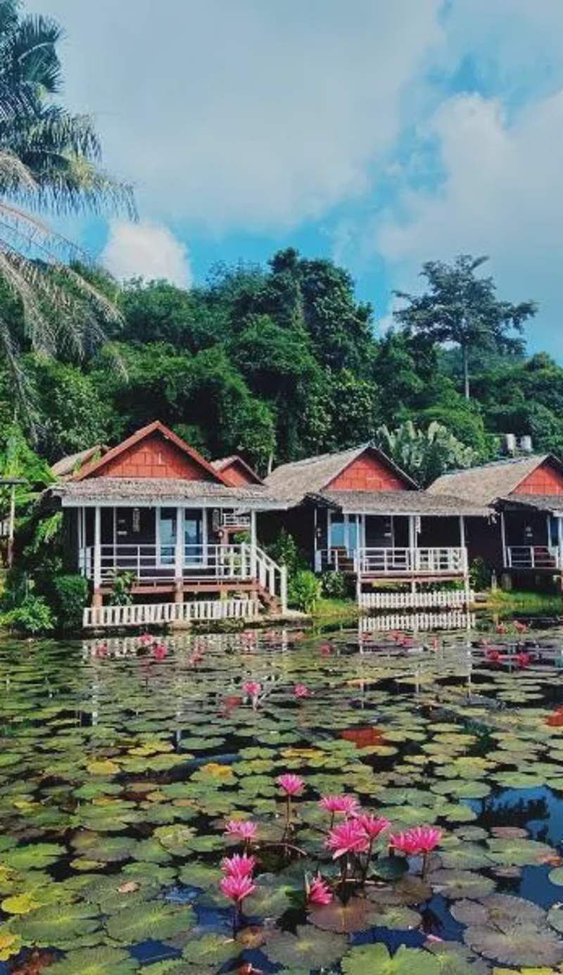 Holiday Resort - SHA Plus