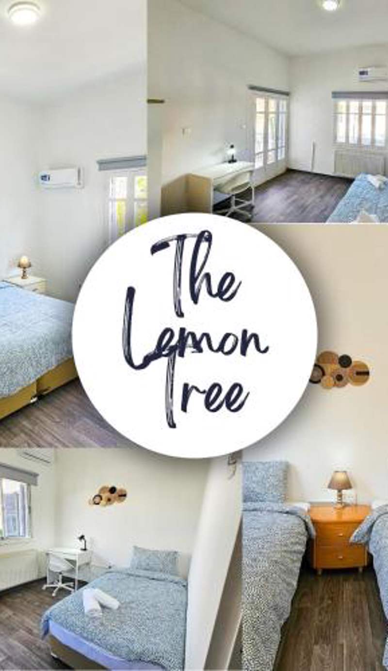 The Lemon Tree Hostel