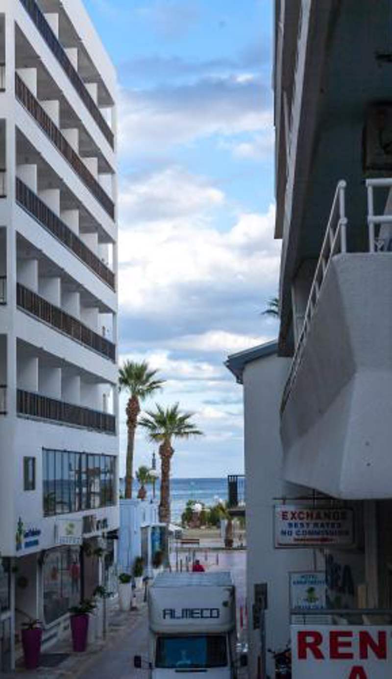 Les Palmiers House