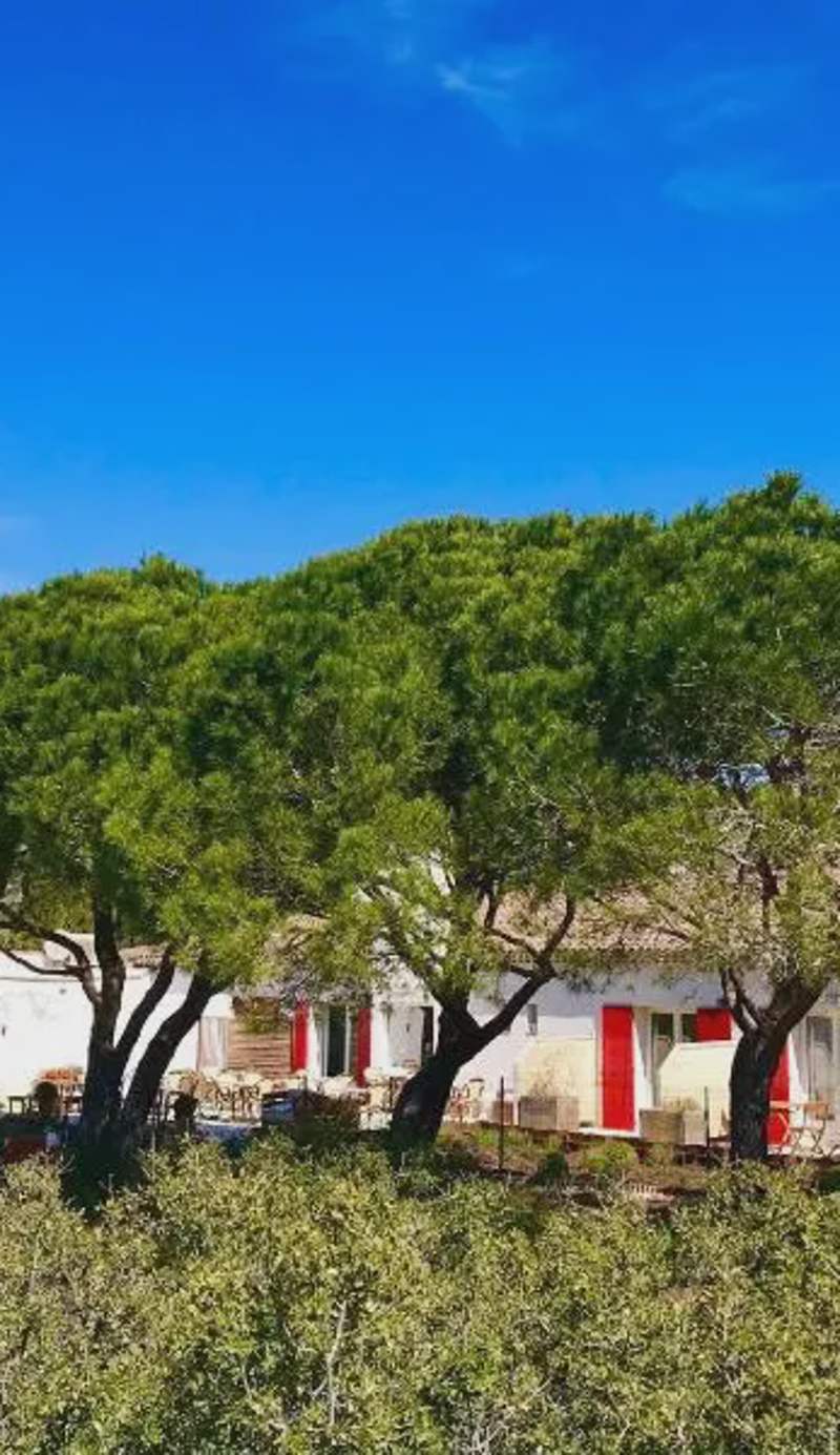 LES VOLETS ROUGES - Hôtel Cassis - Situé dans le Parc National des Calanques - Parking Gratuit