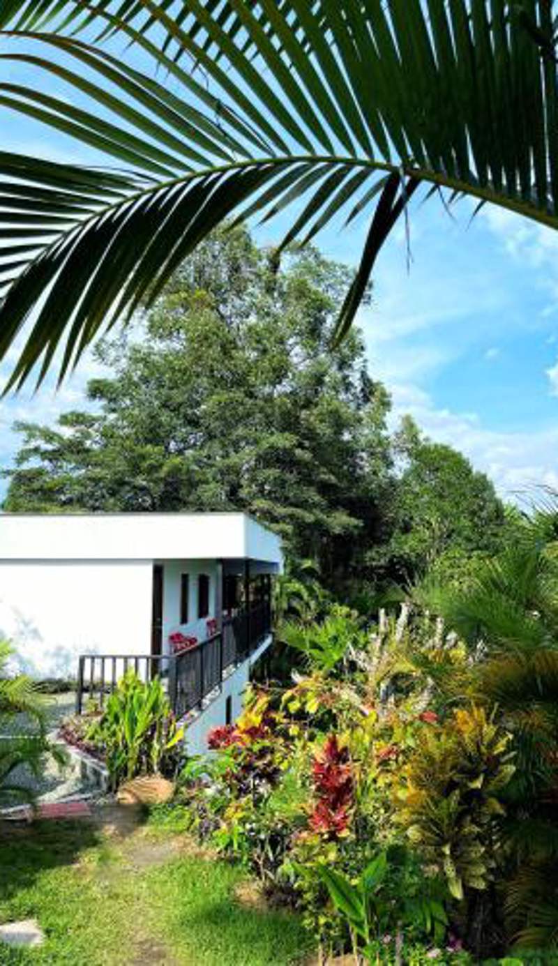 Finca El Bazar