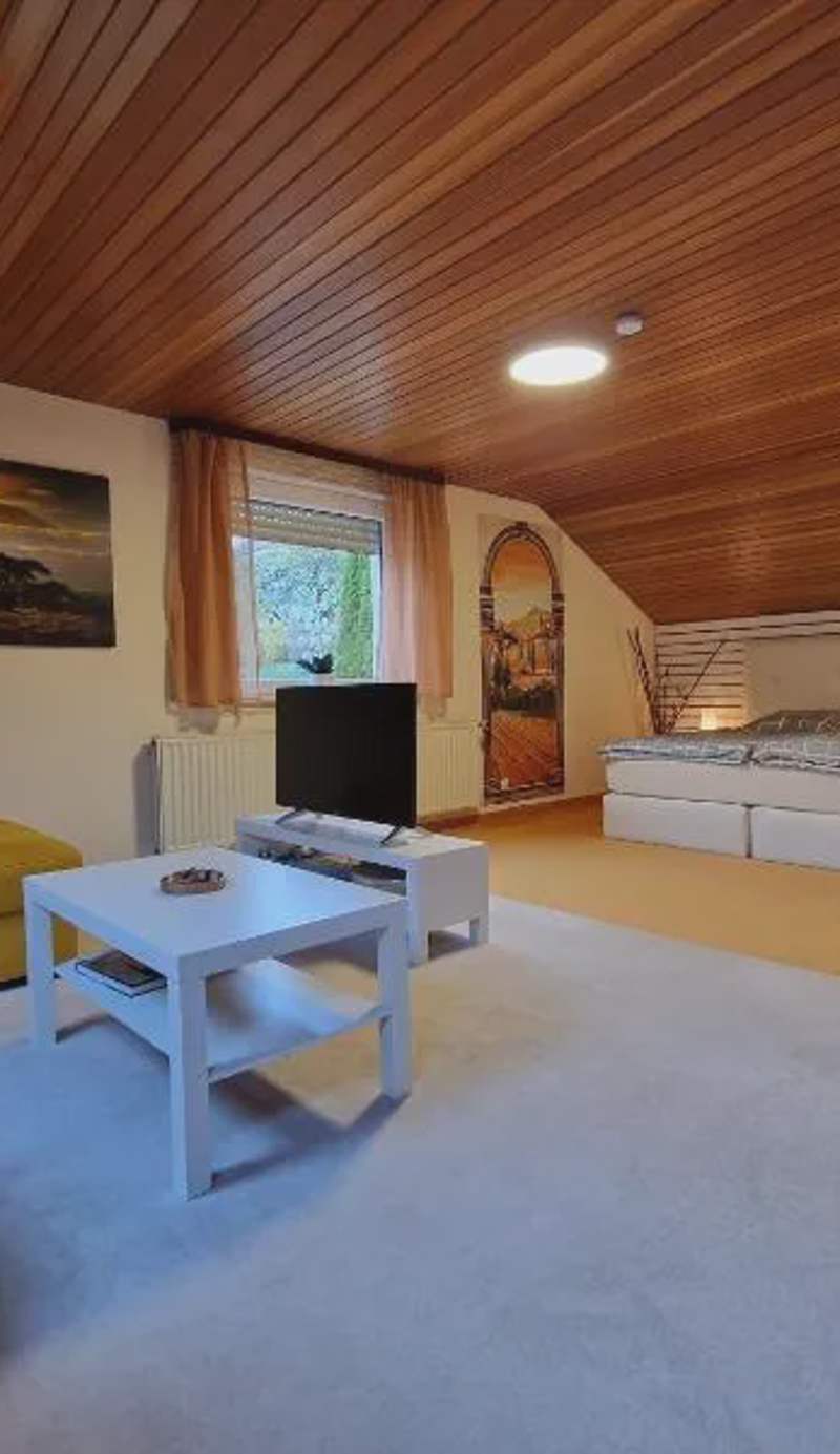 Marburg Apartment geräumiger Lukas in ruhiger Waldrandlage mit Wintergarten