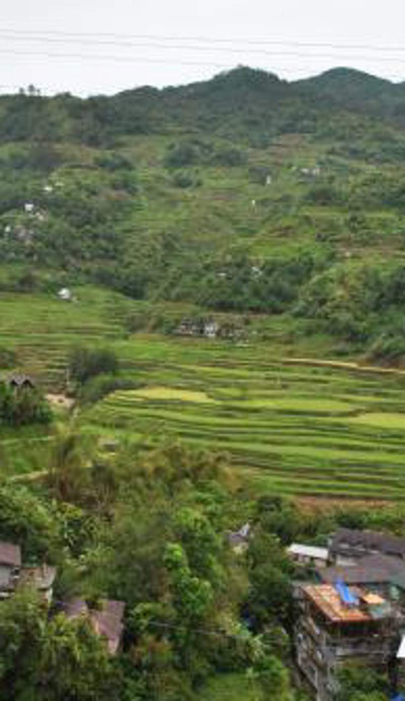 Banaue Homestay