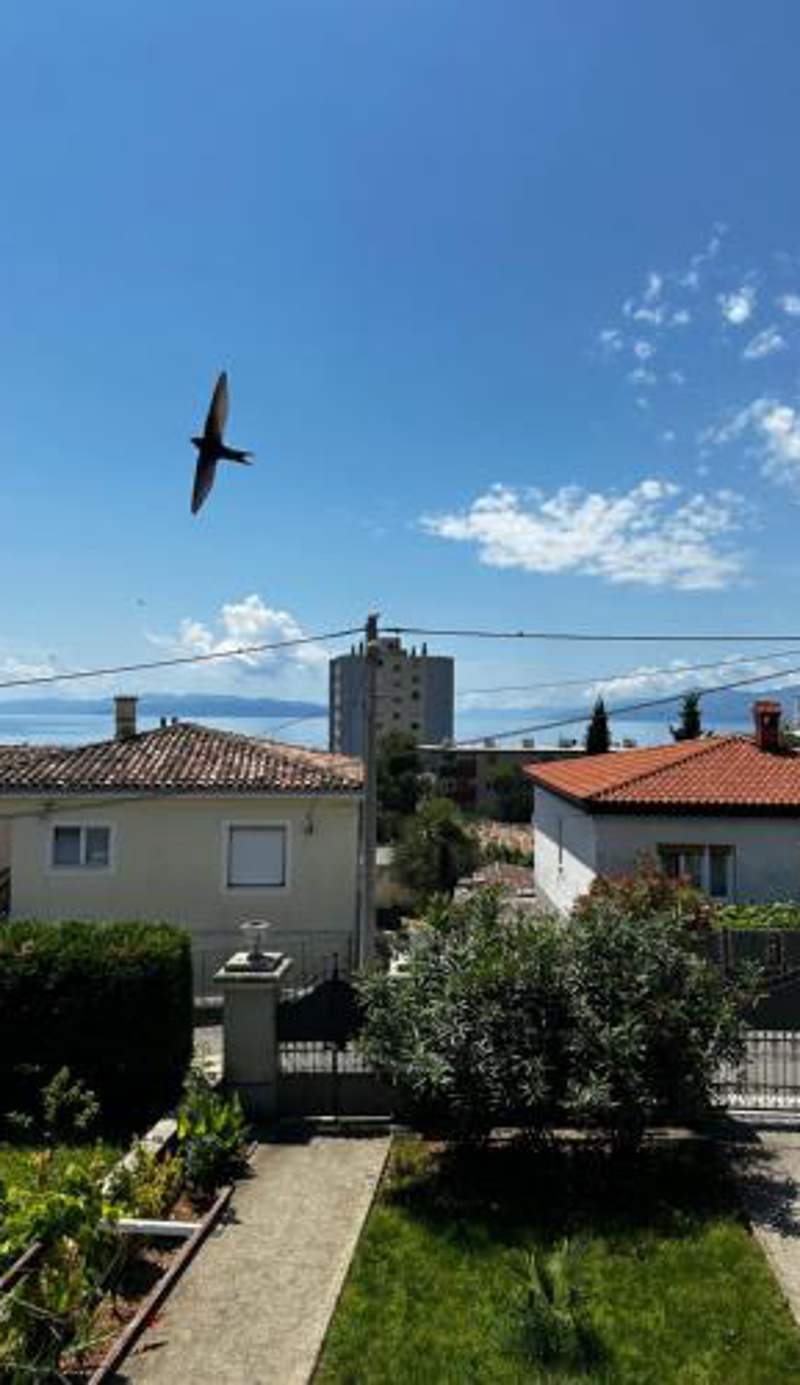 Apartment Rijeka Zamet 500m from Sea, free Parking, near to Center Zamet