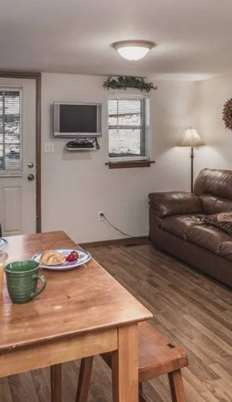 Beary Comfy Cabin