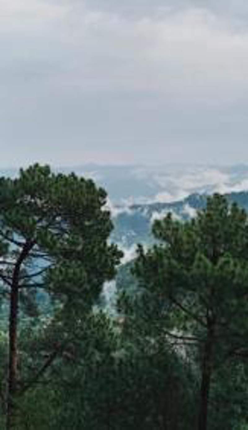 Mountain View l 1BHK,2BHK,3BHK,4BHK,10BHK l Sitting Area Availbale by Night Sky