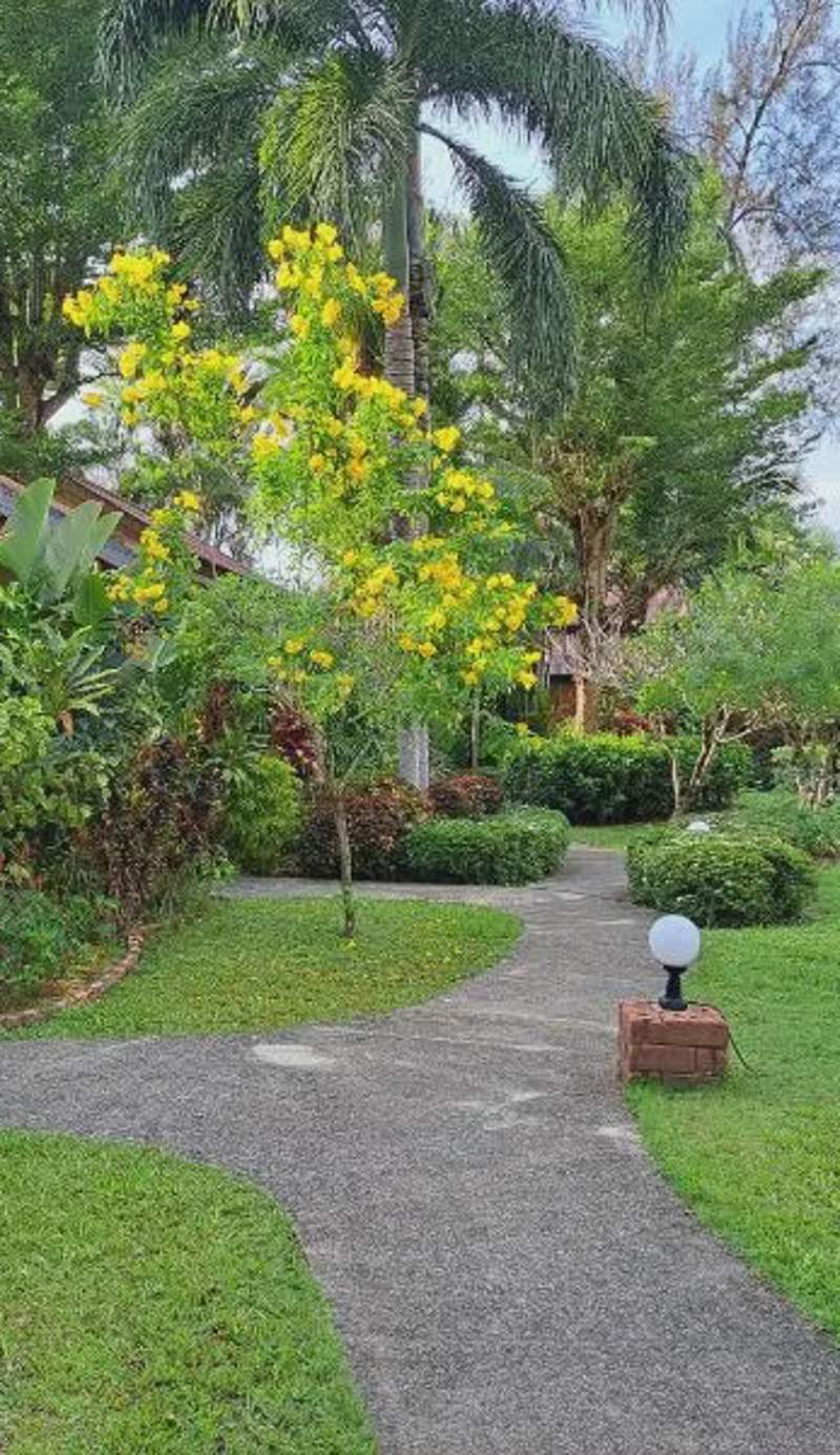 Jasmin Resort - SHA Plus
