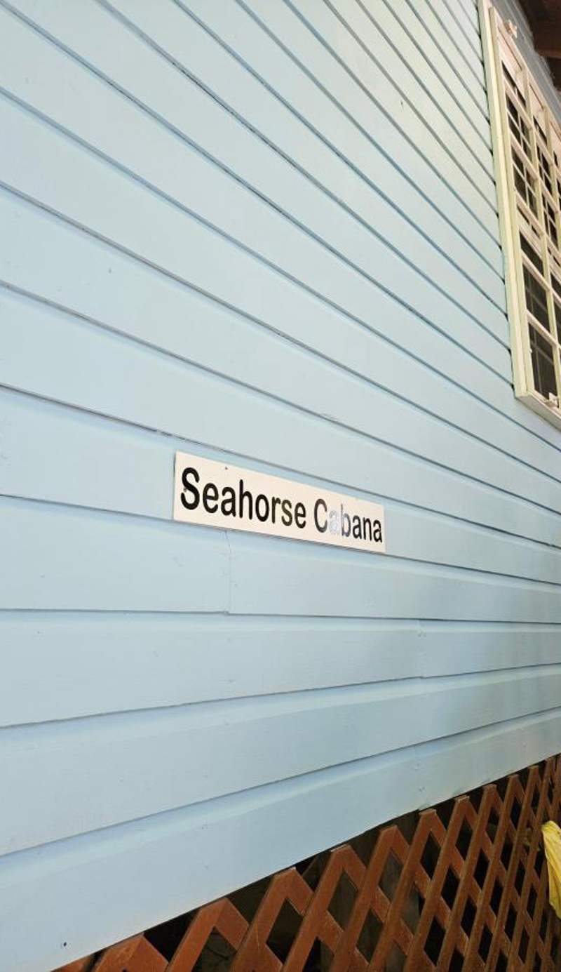 Seahorse Cabana