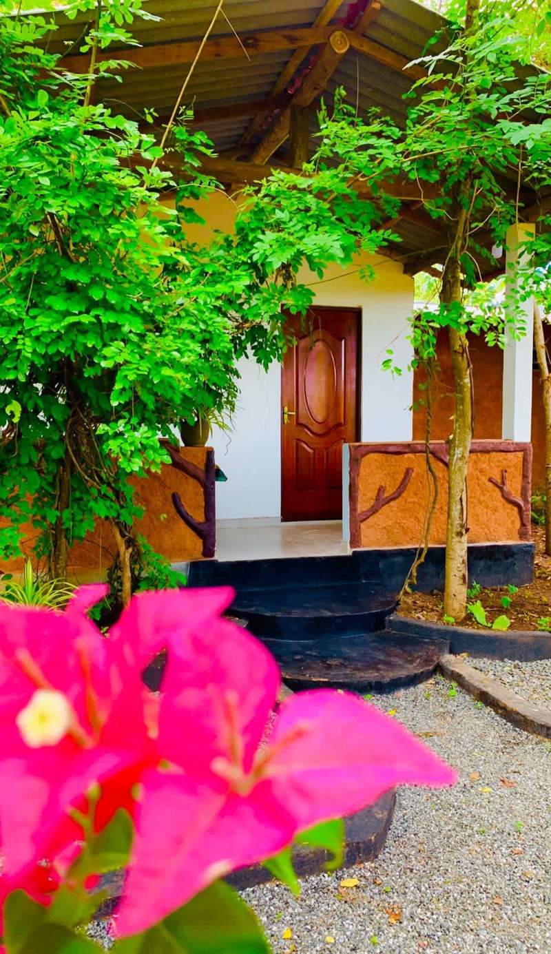Wild Queens Safari Cottage