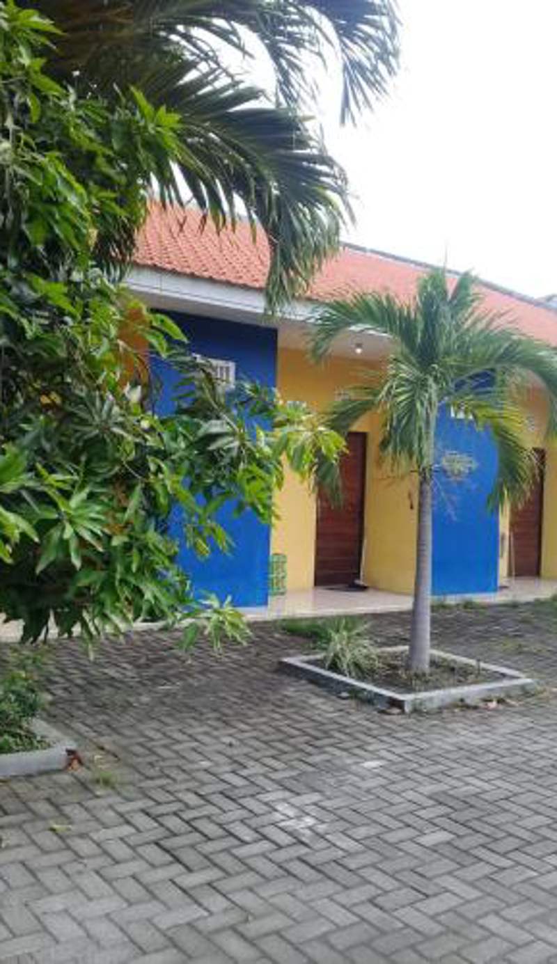 Kost Backpacker