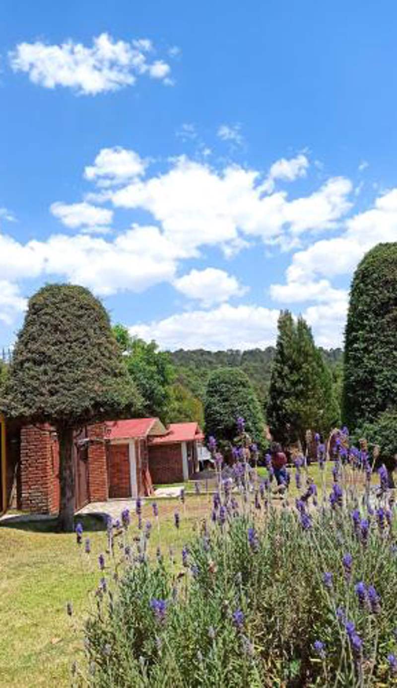 Finca Marix, Villa del Carbón
