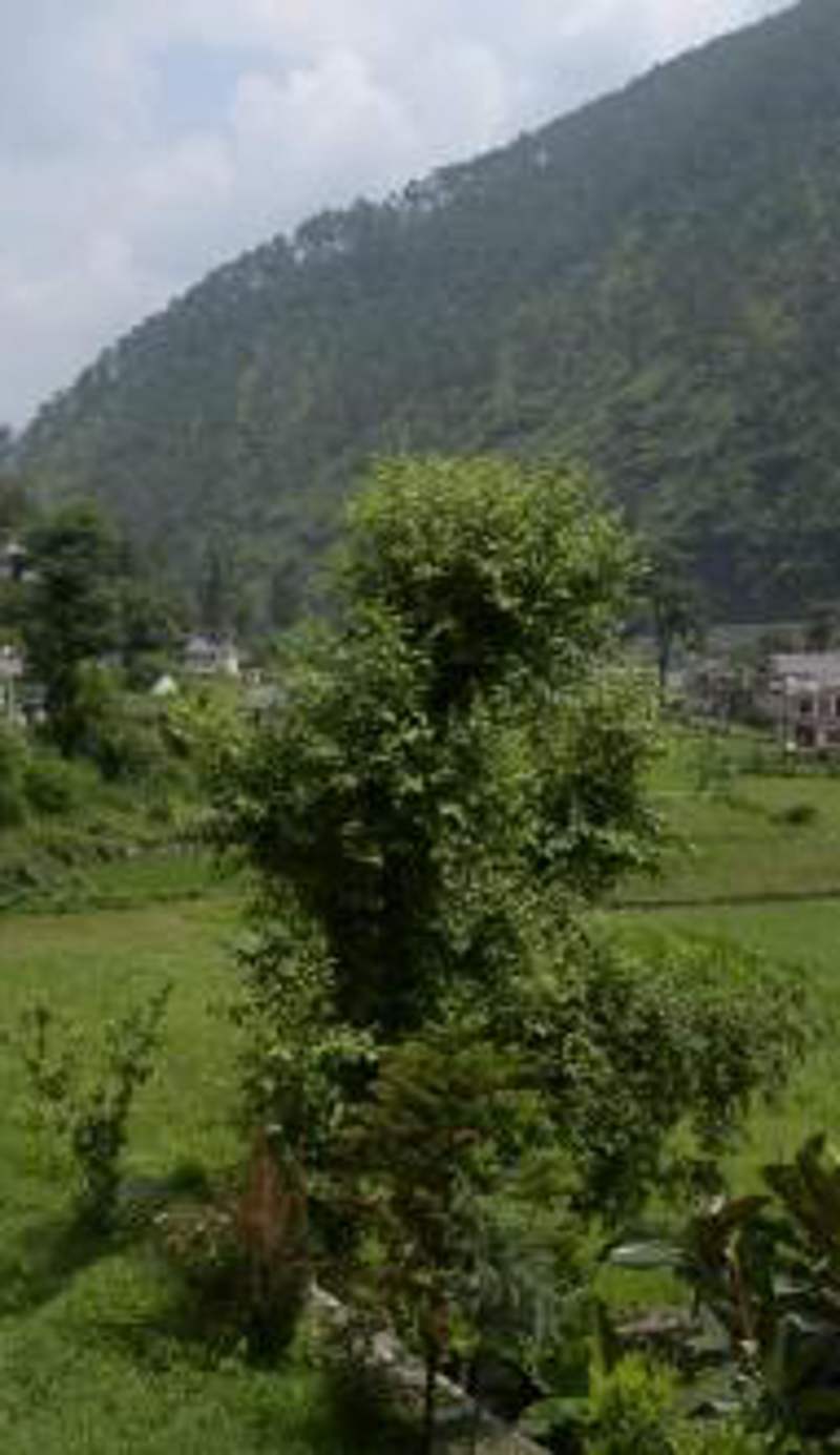 Shivlinga Tourist Complex