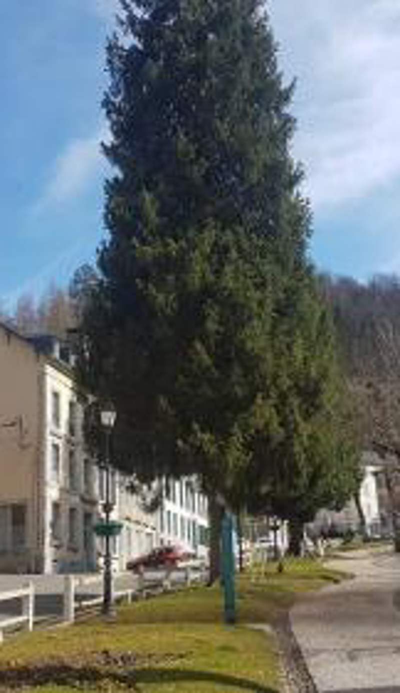 Vaste appartement, lumineux, 8 couchages