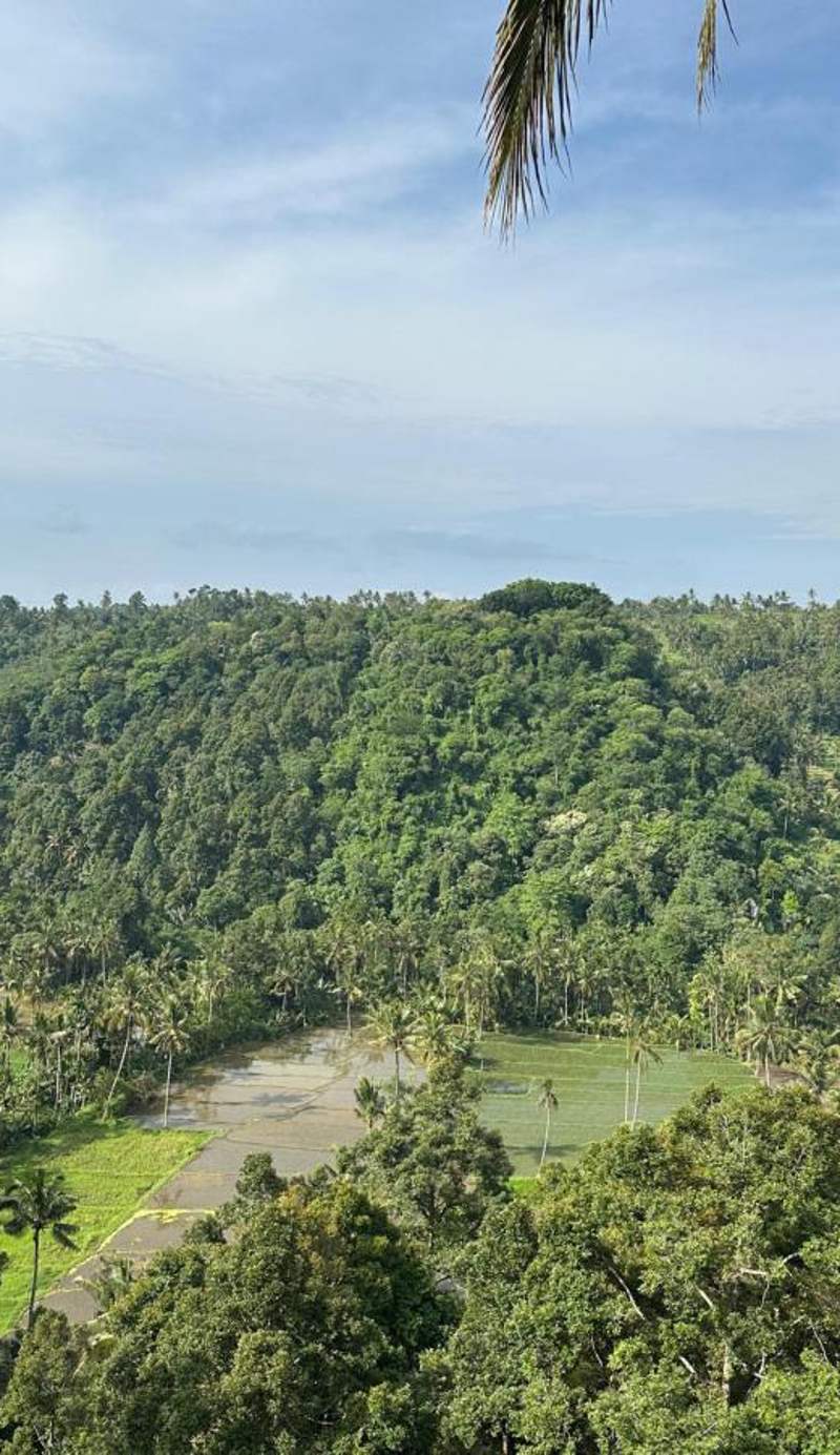 Domisili Ijen Cliff By Fays Hospitality