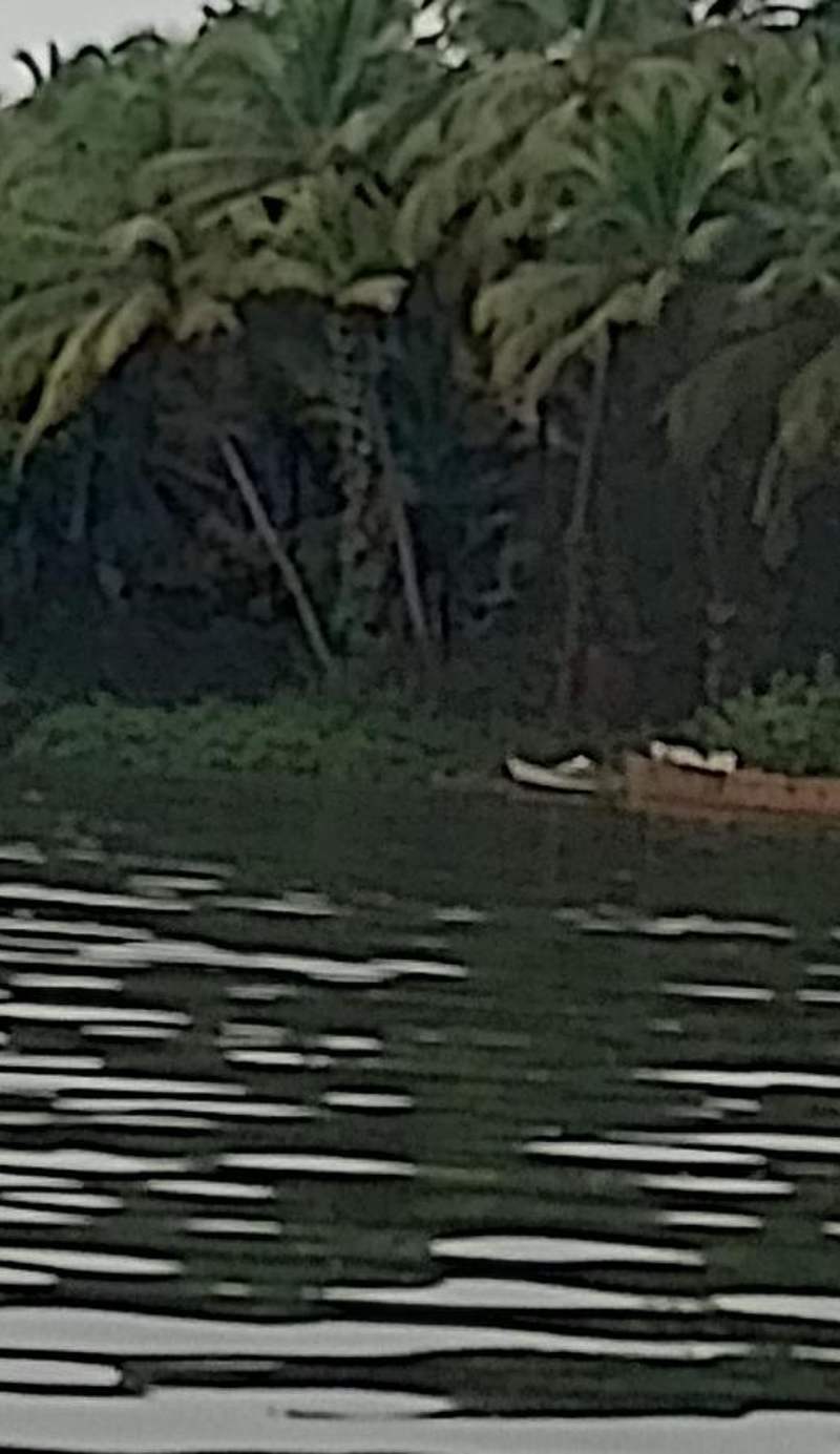 Athaang Beach Resort