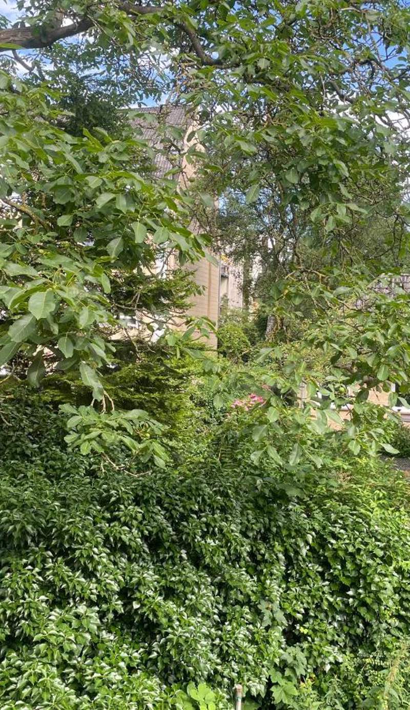 Idyllisches zentrales Appartment