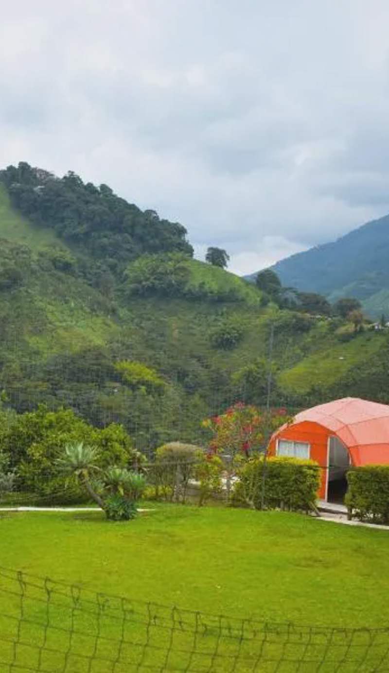 Arkdia Glamping Zone