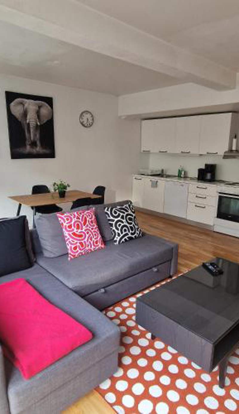 Serene 1 bedroom apartment Oslo