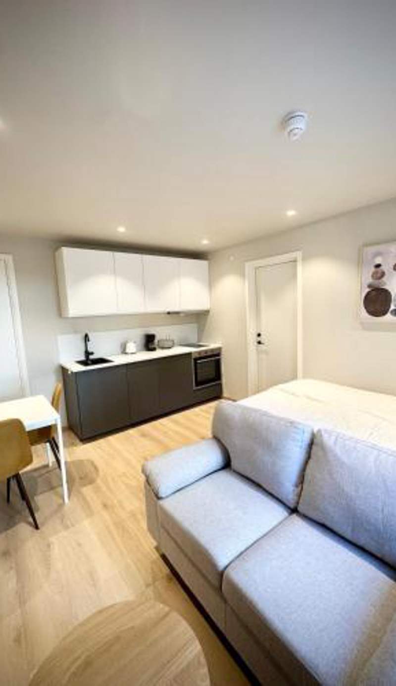 Bright & Cozy Studio - Central Location