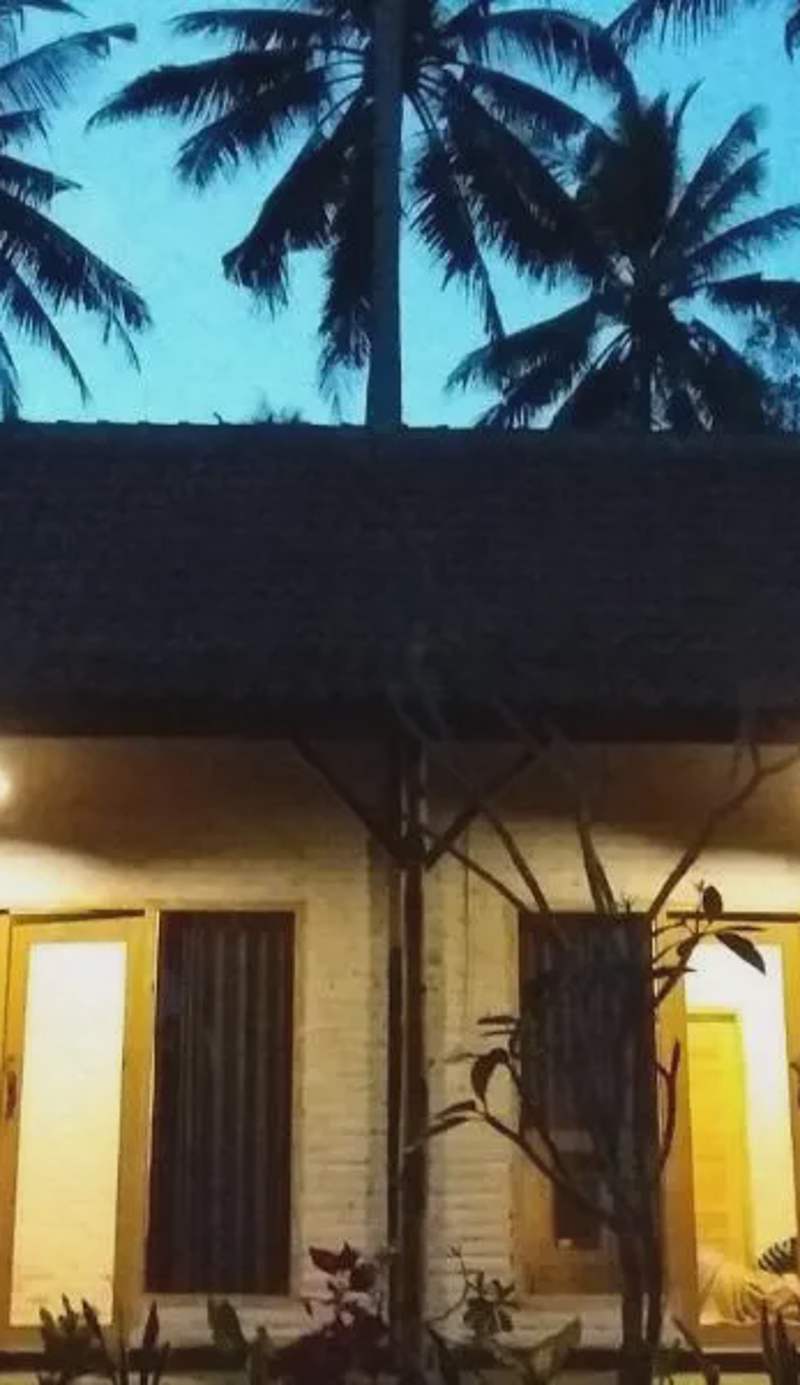 Jungle House - surf & stay
