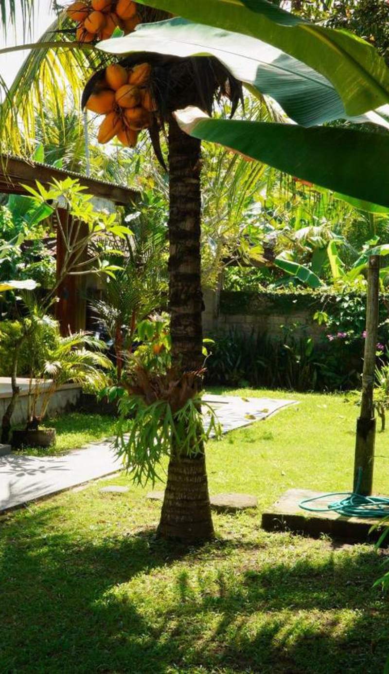 Harris surf villa