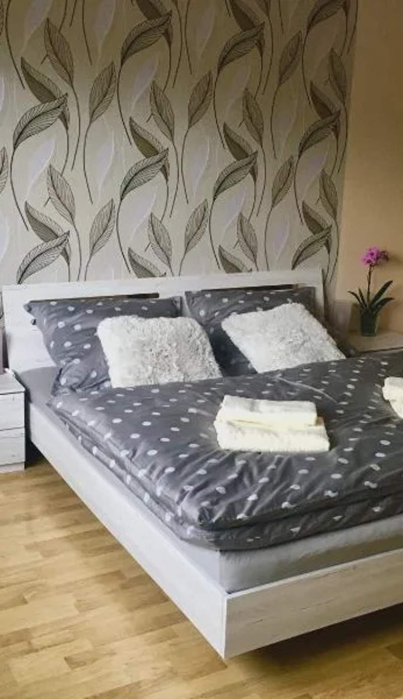 Sausage dog's apartments