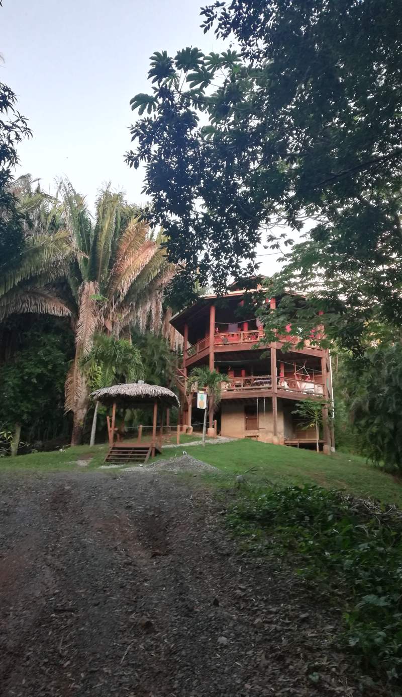 Runaway Pineapple Lodge