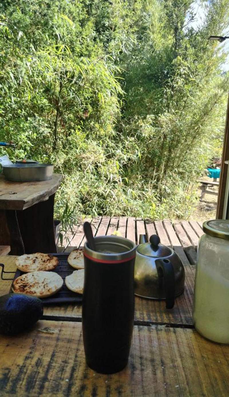 Entre Pampa y Bosque