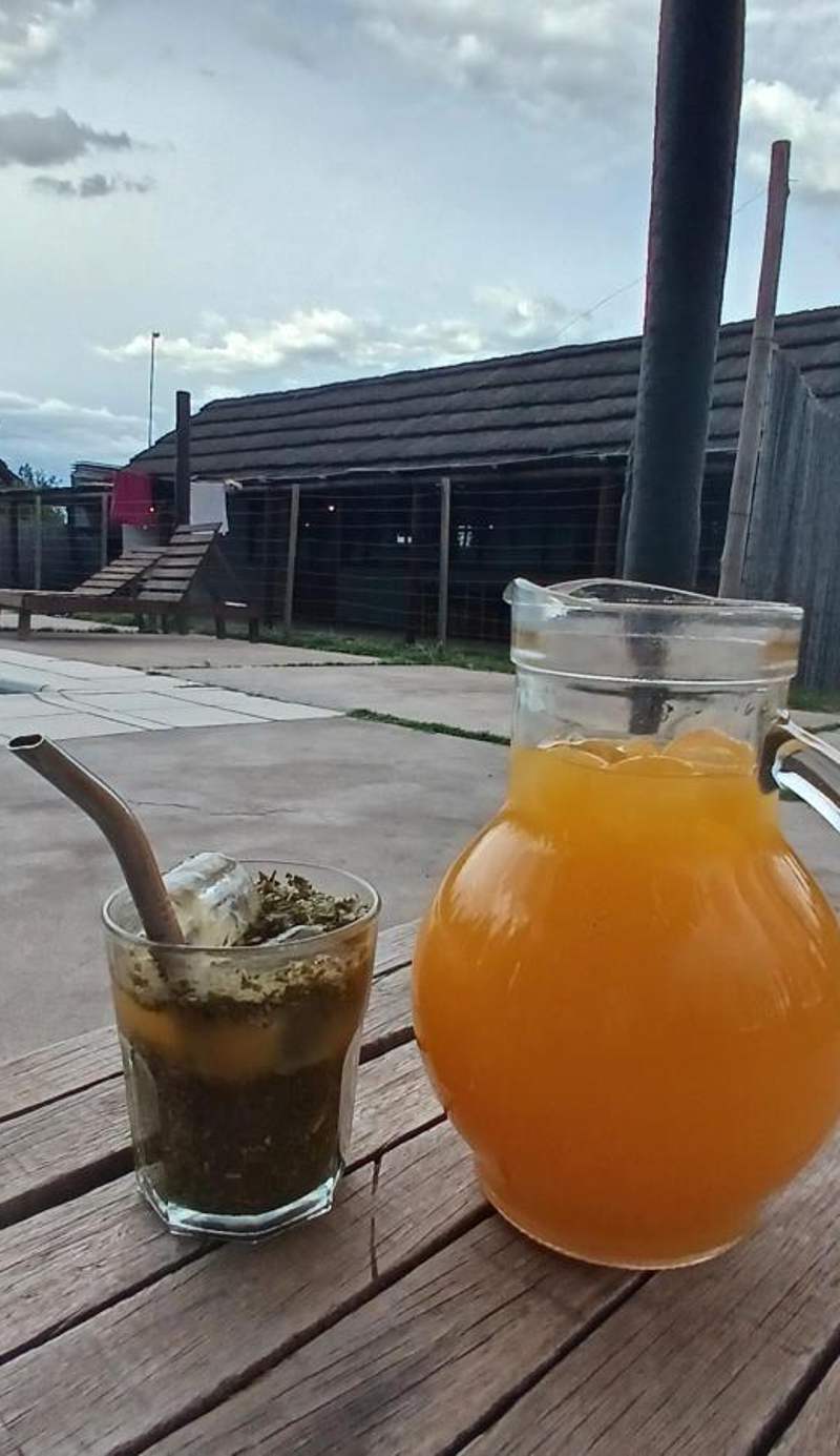 Ciruelos del Sur - San Rafael Mendoza