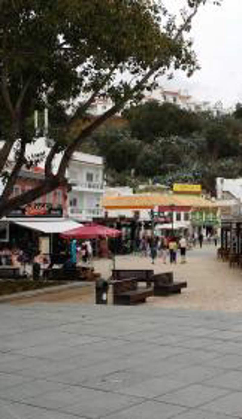 Studio near the beach