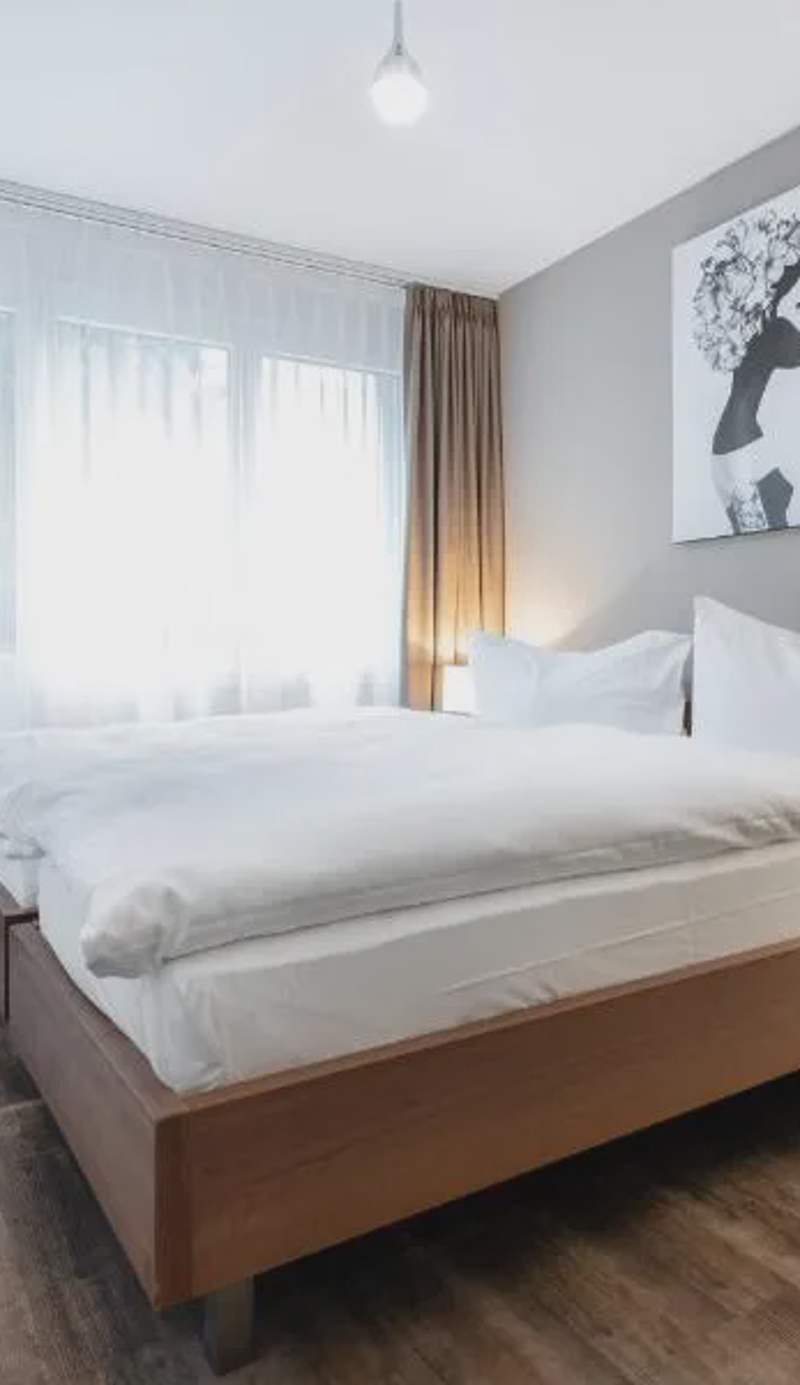 Hotel Birsighof Basel City Center
