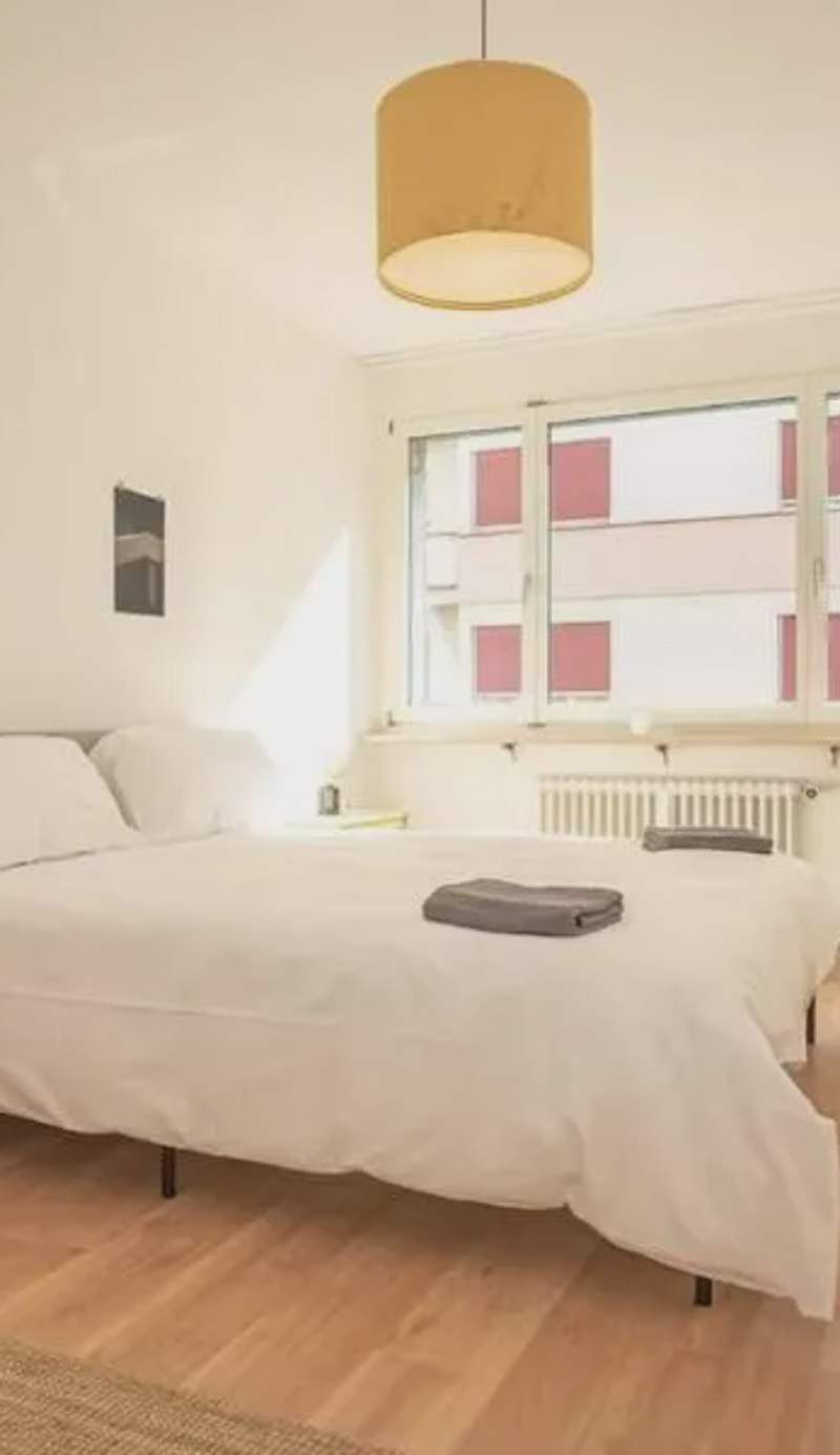 Central Studio Apartment with free BaselCard - Picasso