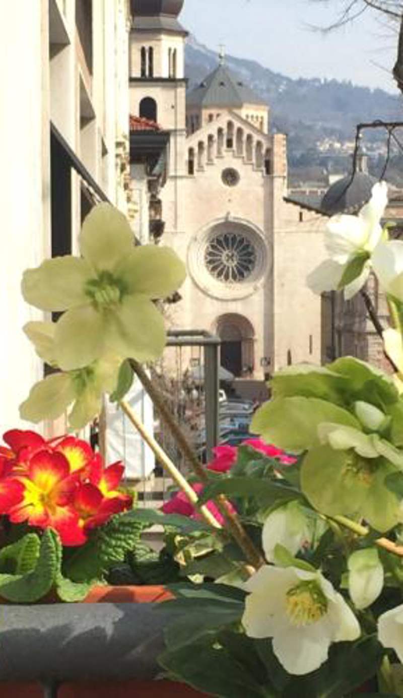 B&B Homer Trento