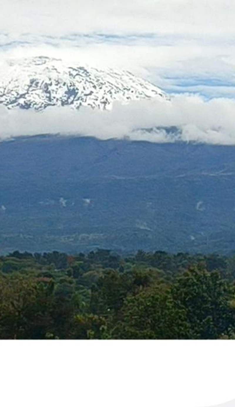 Kilimanjaro Smiley Inn