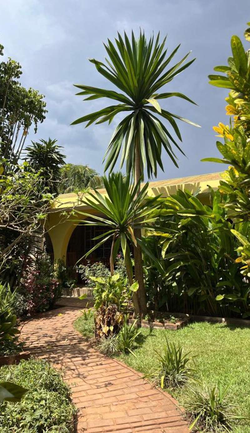 Kiwavi Home