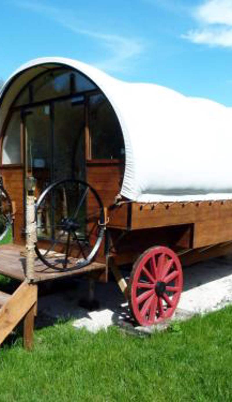 Wacky Stays - unique farm-stay glamping rentals, FREE animal feeding tours