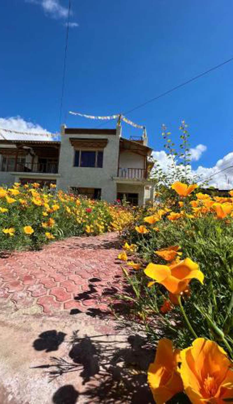 Chakzot garden house