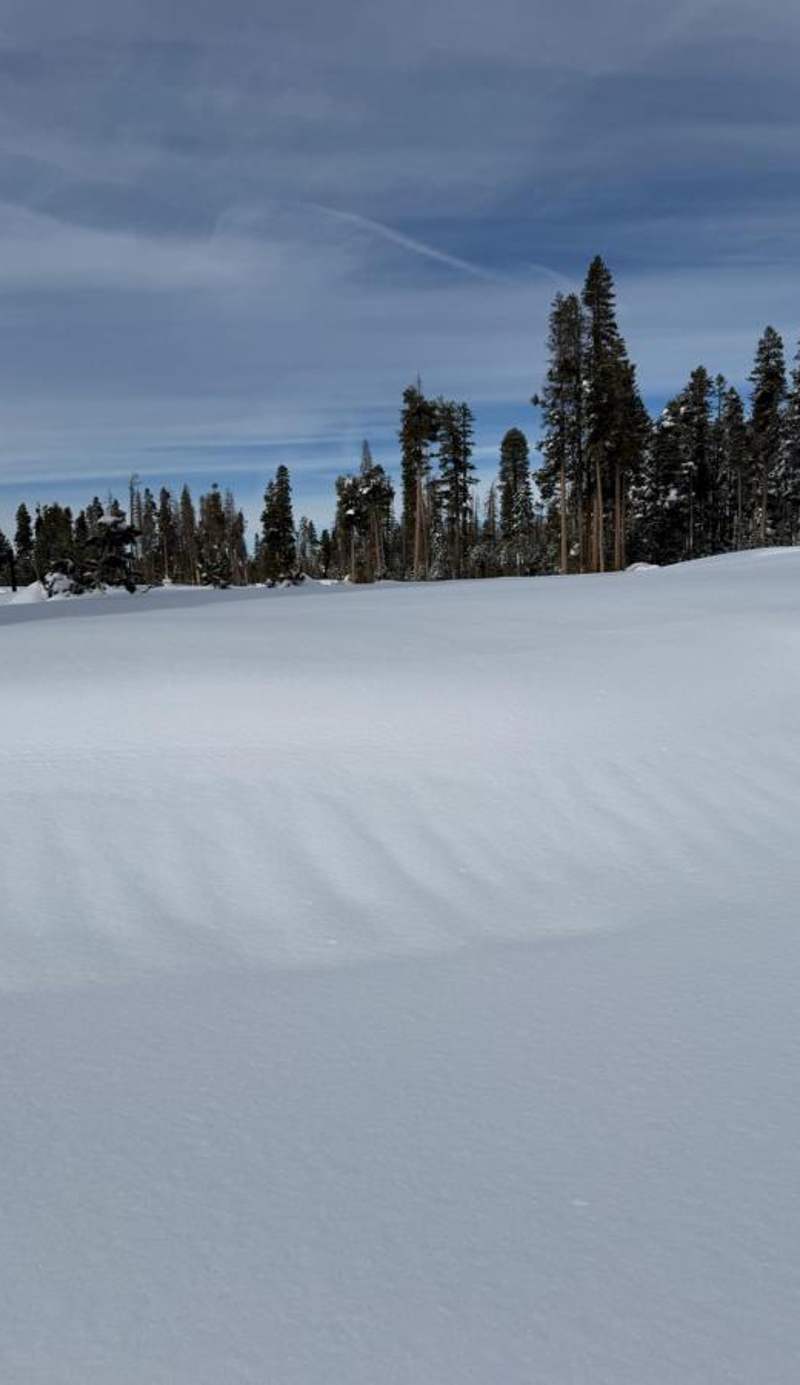 Basecamp Tahoe South