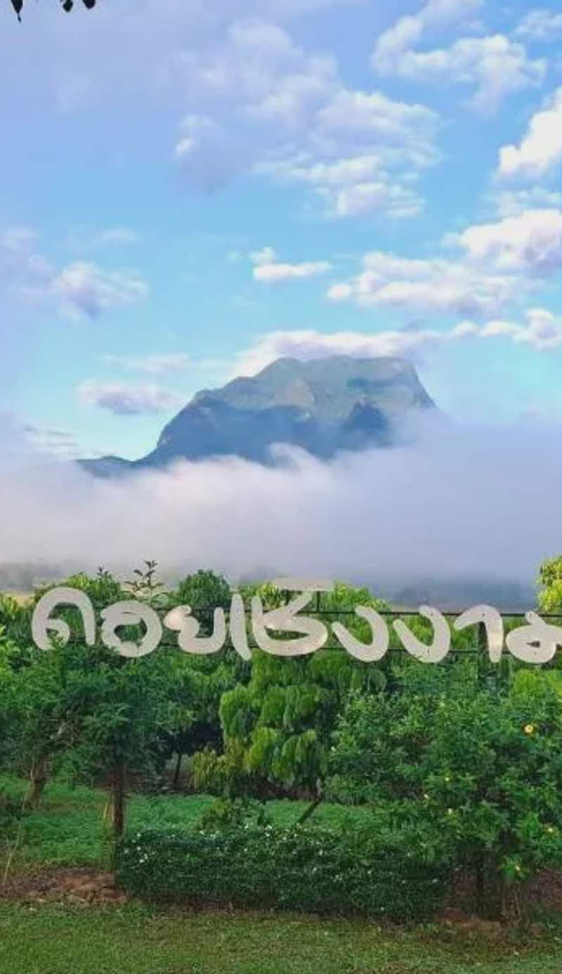 Doicherngngam Home stay