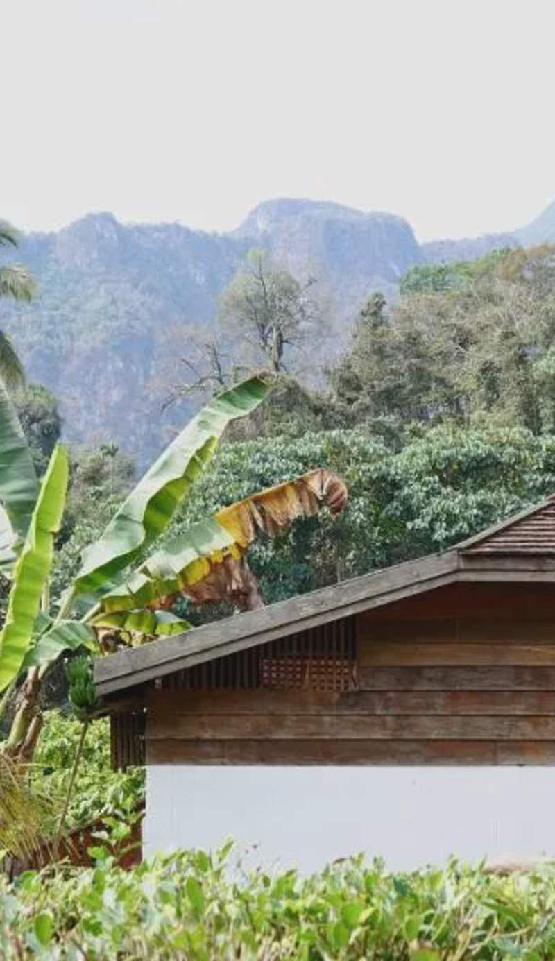 LANNA HOUSE บ้านลานนา เชียงดาว