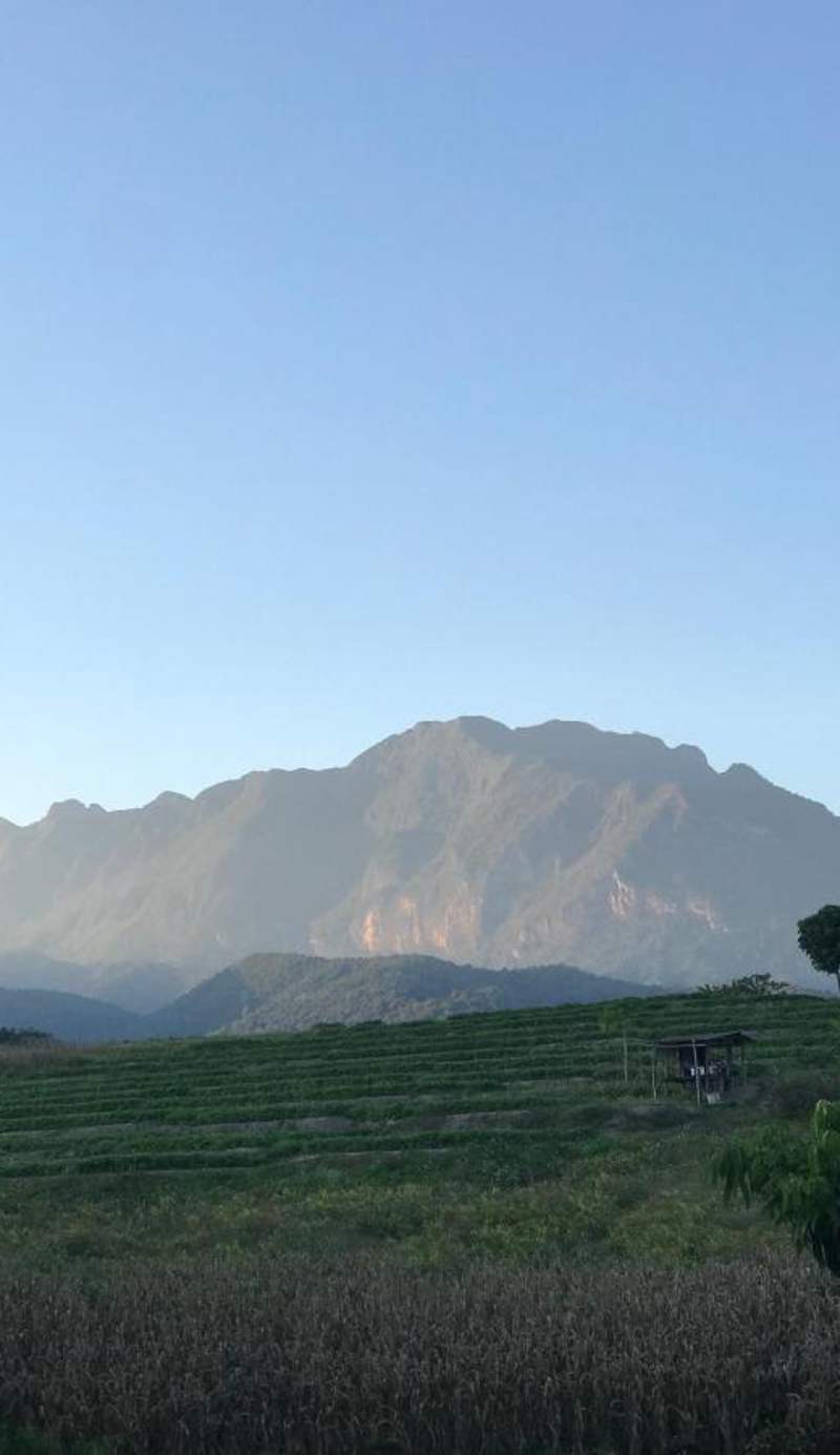 Buraphat Resort
