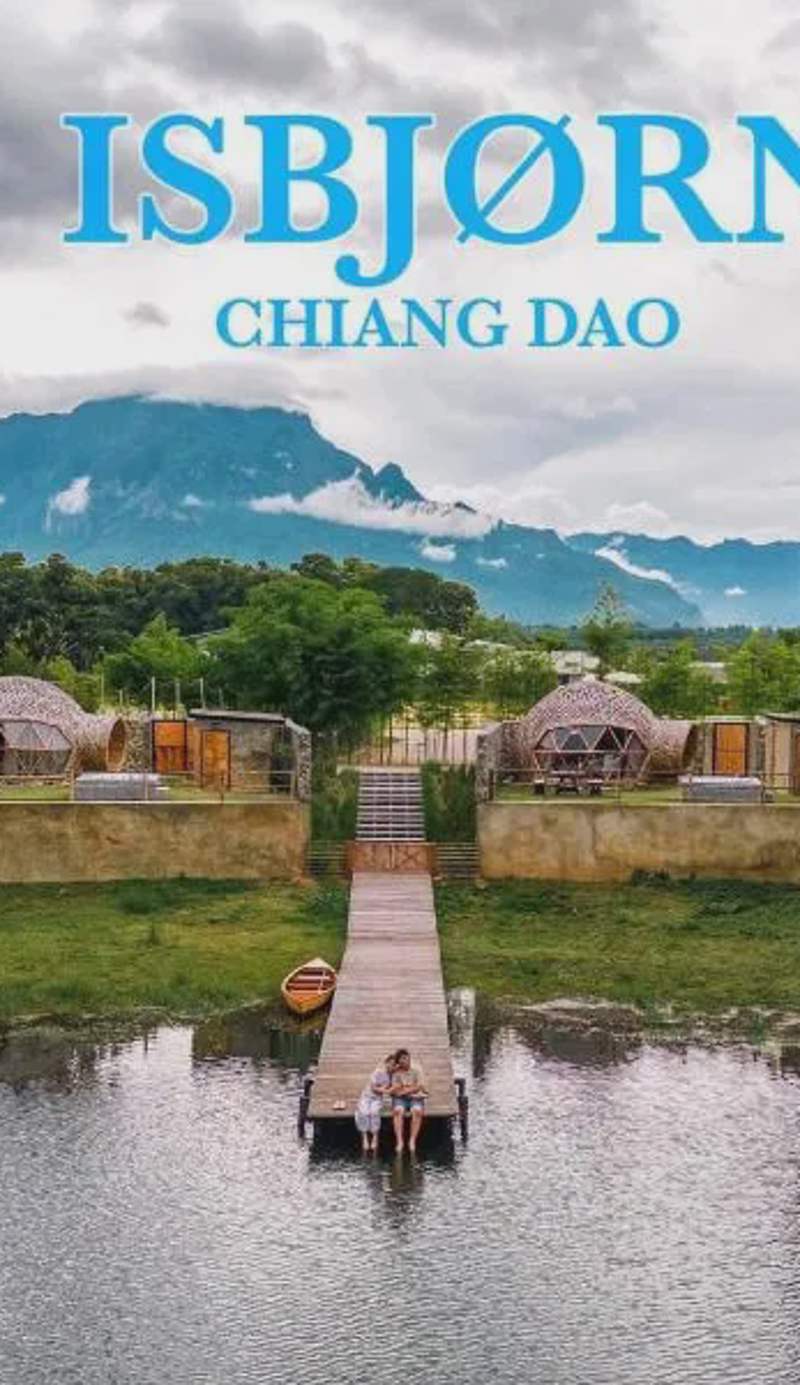 Isbjorn chiangdao