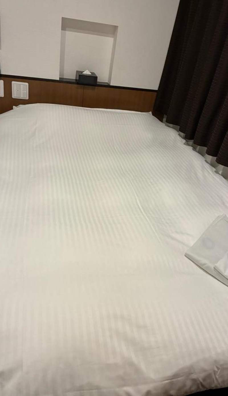Nagoyaeki Access Hotel