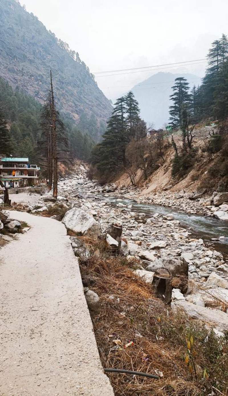 The Trippy Tribe Kasol