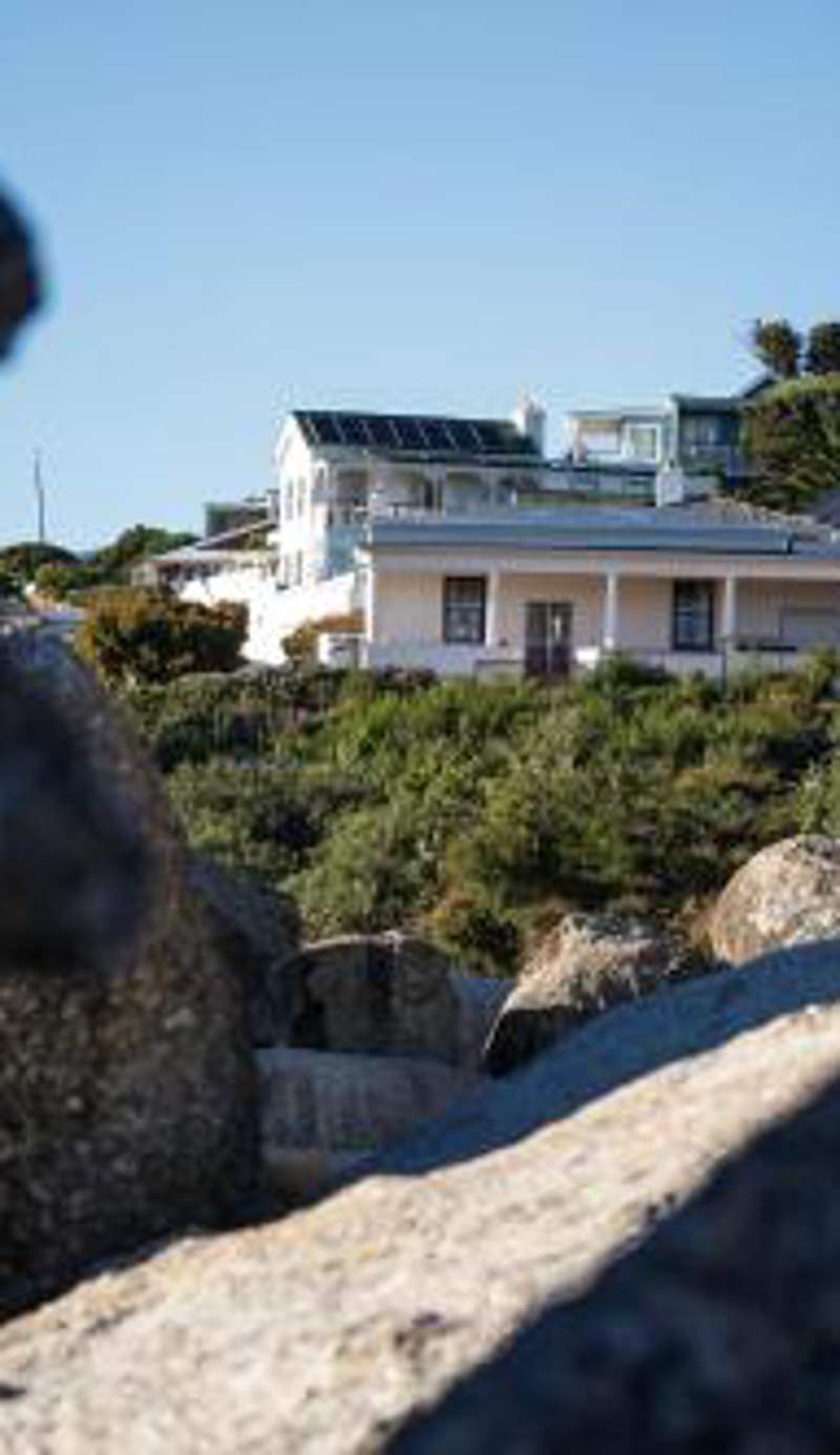 Bosky Dell on Boulders Beach