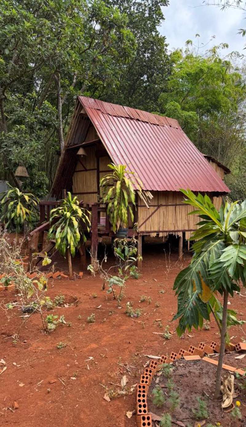 Tribal Village Homestay & Trekking